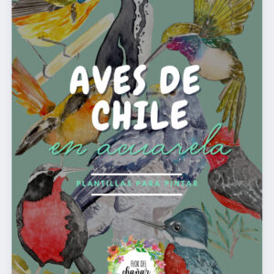 E-book Aves de Chile